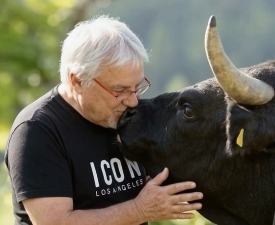 Yvonnick Mosteau contre le museau d'une vache d'Hérens